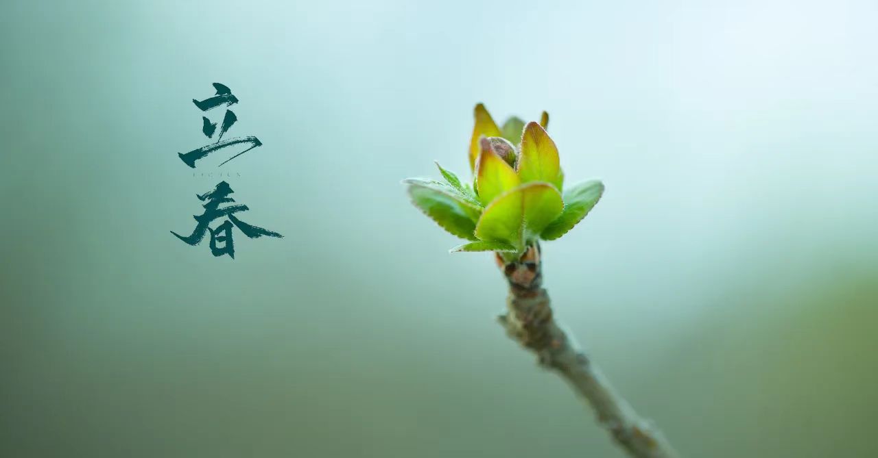 今日立春 | 邁過(guò)冰川雪海  迎來(lái)暖陽(yáng)花開(kāi)